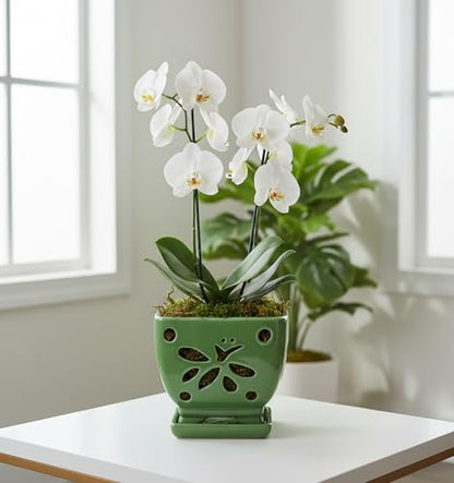 Orchid Pots with Holes Ceramic Orchid Planter Pots Square 5.5 inch (Green) - color: Green