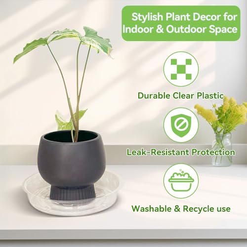 100 Pcs 6 Inch Clear Plant Saucers Bulk, Plastic Plant Saucer - size: 6inch（100 Pack）