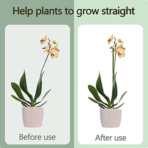 20Pcs Plant Stakes, 23.6IN Orchid Support Stakes for Indoor Plants - size: 23.6 Inches