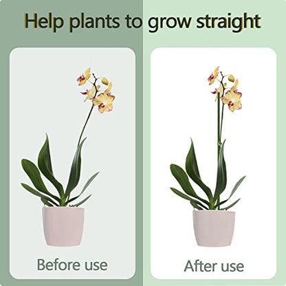 20Pcs Plant Stakes, 16IN Orchid Support Stakes for Indoor Plants - size: 16 Inches
