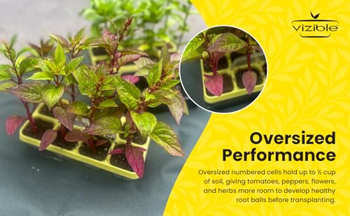 Vizible 16-Cell Seed Starting Tray Caddy | Reuseable Clear Cell Design | Perfect for Vegetables Including Tomatoes and Peppers, Flowers and Herbs (Cosmos Yellow) - color: Cosmos Yellow