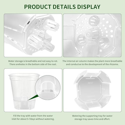 Cdd's Path Self Watering Pots Set with Deep Water Tank, Large Drainage Holes, Reservoir & Air Pipes, 5/6/7/8 Inch Naked Root Planter for Indoor Outdoor Plants, Flowers, Seedlings, Clear, 4 Pack - size: 5/6/7/8 inch-4 Pack