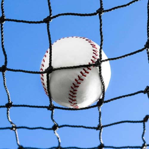 Baseball Backstop Nets | Professional Grade Sports Netting Available in 82 Sizes - 100% Weatherproof with Overlocked Edges - size: 10' x 24'