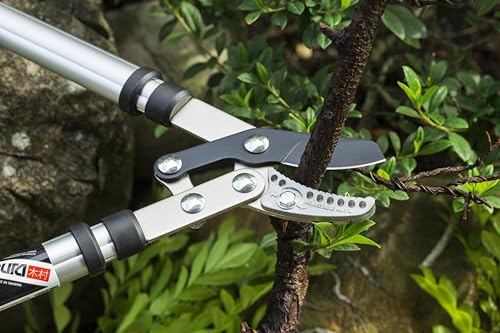 Kimura® Pro Heavy Duty Garden Loppers - 25-37", Premium Anvil Loppers with Compound Action Mechanism, Lightweight Telescopic Handles, Sharp Japanese SK5 Steel Blades, Extendable Garden Cutters - size: 25"-37"