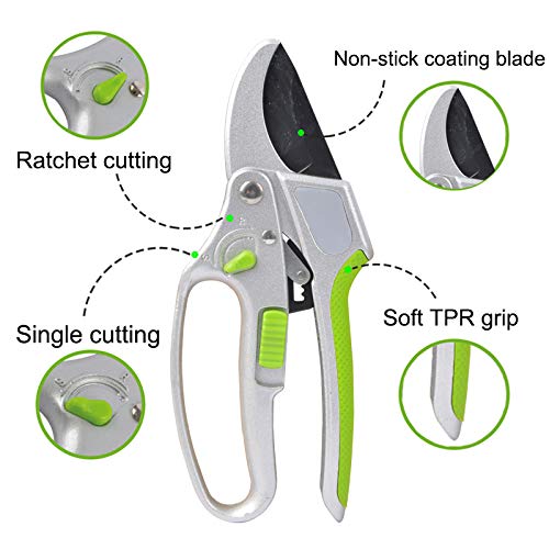 GARDEN GURU 2 in 1 Ratchet Pruning Shears Clippers – 4X Cutting Power – Ratcheting Garden Anvil Pruners Scissors - Ergonomic Grip - Makes Tough Cuts Easy - Great for Seniors & Arthritic Hands - size: 1 Pack, style: 2 in 1 Ratchet