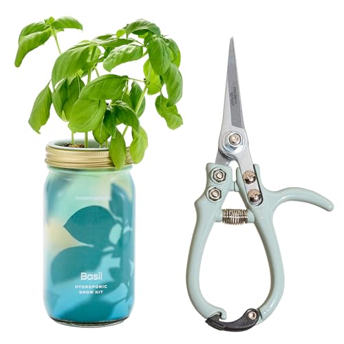 Modern Sprout Hydroponic Grow + Harvest Bundle - color: Basil Garden Jar + Sage Shears