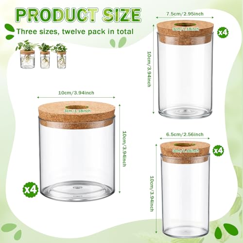 12 Pack Plant Propagation Station with Hole Lid Plant Propagation Jars Plants Plastic Propagations Stations Planter Vase Hydroponic Vases for Home Desktop Office Decoration, 3 Sizes