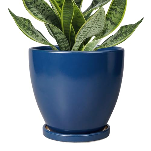 6.8 Inch Plant Pot - Ceramic Planter with Drainage Hole and Saucer, Modern Round Flower Pot, Planters for Indoor Plants, Home Garden Decor, Blue - color: Matte Blue, size: 6 Inch