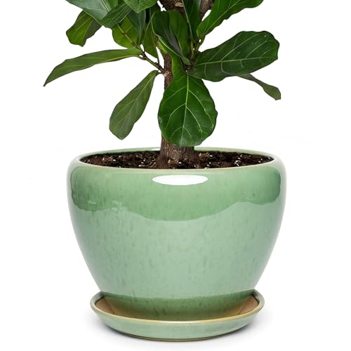 11 Inch Ceramic Plant Pot with Drainage Hole Mesh Net, Large Gardening Pots for Indoor Plants with Saucer, Crackle Green - color: Crackle Green, size: 11 Inch
