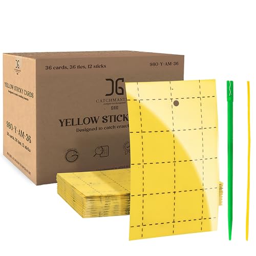Catchmaster GRO Yellow Regular Double Sided Sticky Traps 36PK, Adhesive Bug & Fruit Fly Trap, Pest Control for Home, Farm, Garden, Hydroponics & Greenhouse, Protect Live Plants Indoor & Outdoor - size: 36 Pack - Yellow