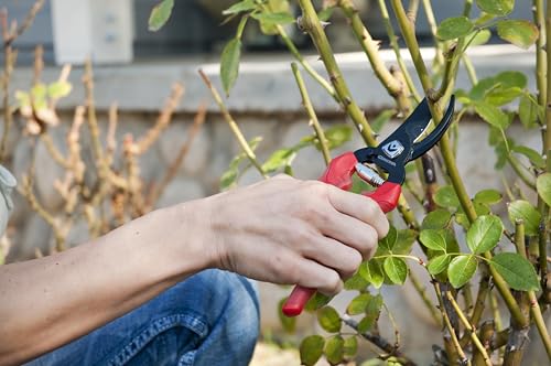 Corona BP 3214D ComfortGEL Bypass Hand Pruner, 3/4-inch cut , Red - size: 3/4 Inch