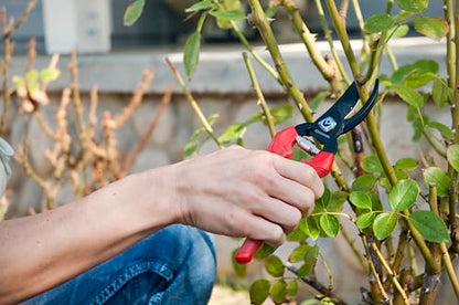 Corona BP 3214D ComfortGEL Bypass Hand Pruner, 3/4-inch cut , Red - size: 3/4 Inch