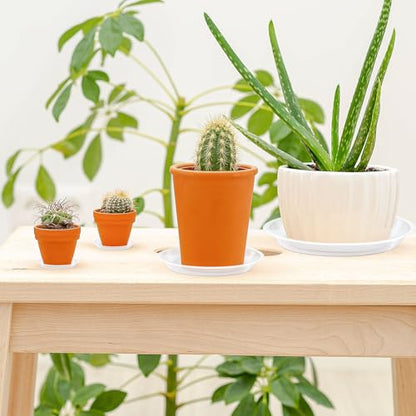 Augshy 18 Pack Plant Suacer 6 Inche Plant Drip Trays - color: Clear, size: 6 Inch