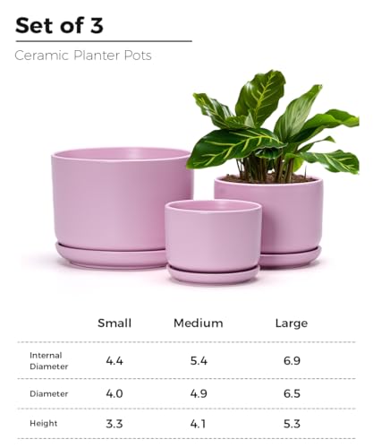 Plant Pots,Ceramic Planters with Drainage Holes&Saucer Set of 3(Matte Pink) - color: Matte Pink