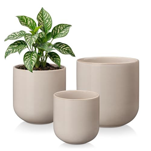 vancasso 6+8+10 inches Ceramic Plant Pots, Set of 3, Planters with Drainage Hole, Flower Pots Planters Pots for Indoor Plants, Modern Indoor Decorative Garden Pot, Home Decor, Gray - color: Gray, size: 6+8+10 Inch
