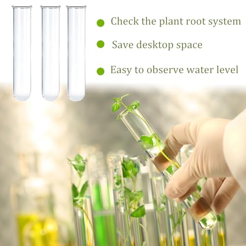 15Pcs Glass Tubes for Plants, Plant Propagation Tube Test Tubes for Scientific Experiments 20 ml Glass Test Tubes for Hydroponic Plants, Home Office Wall Decor (12cm) - size: 4.75x0.9 Inch