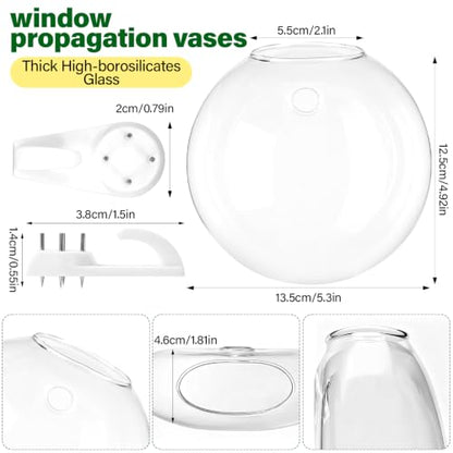 Window Propagation Stations, Wall Hanging Planters for Hydroponics
