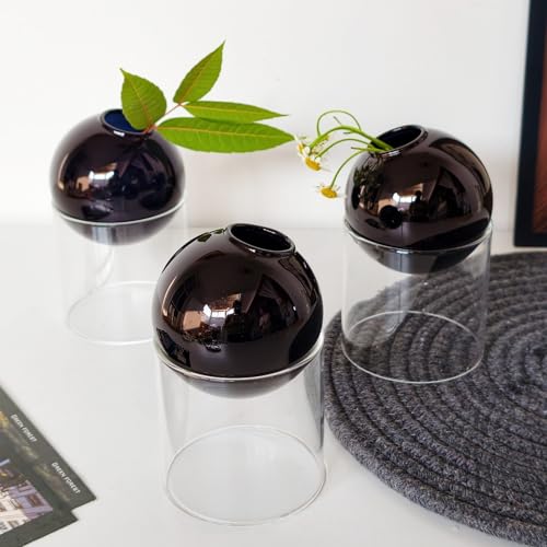 3-Pack Modular Black Glass Vase Set | Minimalist Aesthetics Bud Vase & Desktop Glass Planter with Clear Stand, Small Flower Vase - color: Black*3