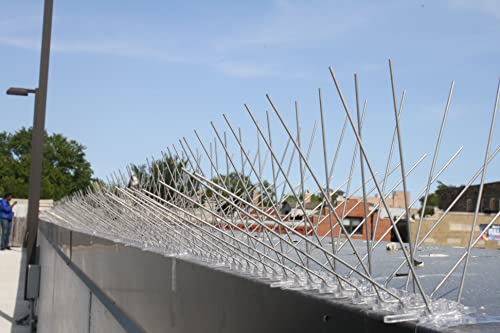 Bird-X STS-24 Regular Width 6-inch Stainless Steel Bird Spikes, Metal Pigeon Barrier, 24 Feet 6 Inch Wide Coverage - size: 24 feet