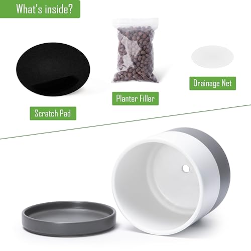 D'vine Dev 2-Pack Ceramic Pots with Saucers, 6/8 in, White/Grey, 94-G-M-6 - color: White/Speckled Grey, size: Medium