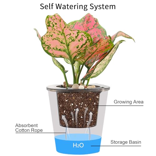 Oliz Self Watering Planter 8 Pcs,4.3 Inch Flower Plant Pot with Inner Pot, Indoor Self Watering Planter Pot for Herbs, Flowers - color: Black