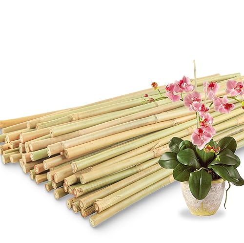 50Pcs / 18 inch Bamboo Plant Stakes for Indoor Outdoor Plants, Garden Plant Support Sticks, Poles for Tomato Vegetables Beans Trees Potted Climbing Plants(0.32''-0.4'') - size: 18 IN 50PCS