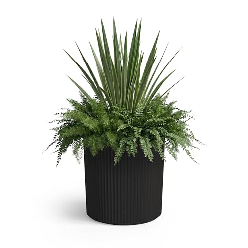 Mayne Haven 12in Round Fluted Modern Planter, Black - color: Black, size: 12in