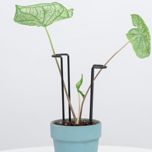 10 Pcs 8.7"Indoor Plant Support for Monstera Trellis Stakes and Stem Holder - color: Black, size: 8.7 Inch H