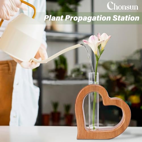 Plant Propagation Stations 2 PCS Wall Hanging Planters - size: 5.3IN