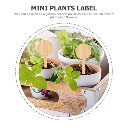 Toddmomy 20 Pcs Bamboo Plant Markers 3.9 Inch Round Garden Labels
