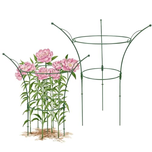 2 Pack Peony Cages and Supports Cages 13" D x 22.8" H Sturdy Metal Support Frame for Peonies & Roses Natural Bouquet Shape Garden Stakes for Outdoor Plants Flowers Ornamental (Green) - color: Green, size: 2 Pack