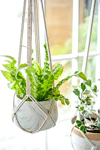Dahey Macrame Plant Hanger Indoor Hanging Plant Holder Basket for Flower - color: Beige