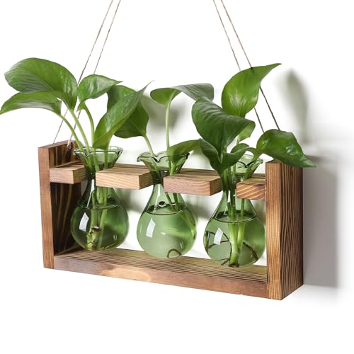 Plant Propagation Station Plant Terrarium Unique Birthday Gifts for Women - color: Green