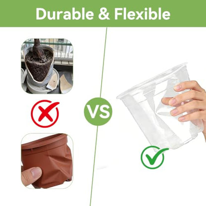 6 Inch Clear Nursery Pots with Drainage Hole 12Pcs,Plastic Plant Planters - color: 6 in
