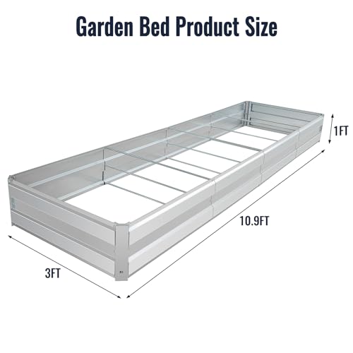 Galvanized Raised Garden Bed Kit, 10.9x3x1FT Metal Raised Garden Beds for Vegetables - size: 10.9*3*1FT