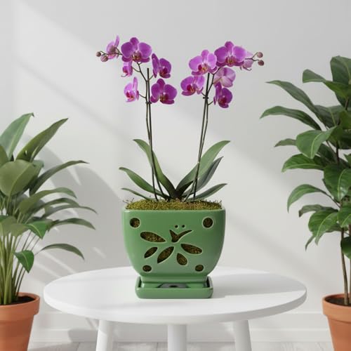 Orchid Pots with Holes Ceramic Orchid Planter Pots Square 5.5 inch (Green) - color: Green