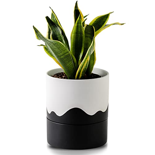 Nihow Ceramic Self Watering Plant Pot for Indoor Plants,6 Inch,White Black - color: White & Wave Black, size: 6" Self Watering
