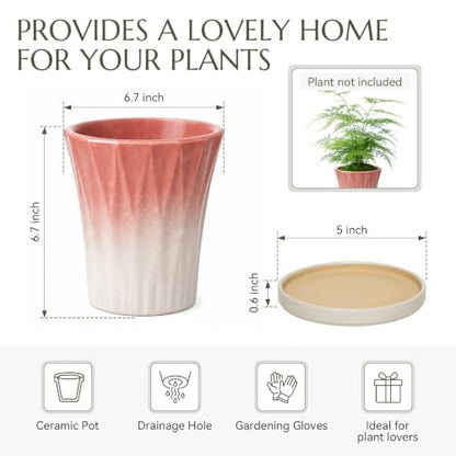 Ceramic Pots for Plants with Saucer(Pink, 6.7 Inch) - color: Pink, size: 6.7 Inch