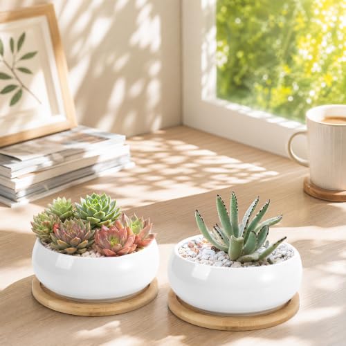 ZOUTOG 2 Pack Succulent Pots, 6 inch Ceramic Planters for Indoor Plants with Bamboo Tray, Pots with Drainage, Seeds＆ Plants Not Included - color: White, size: 2.3 Inch High