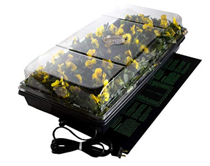 Jump Start CK64050 Germination Station w/Heat Mat Tray, 72-Cell Pack, One size, 2" Dome - style: Germination Station