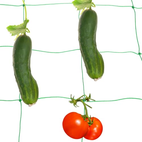 HARFINGTON Trellis Netting for Climbing Plants 3x6ft 18 Strands - color: Green, size: 3ft x 6ft, 18 Strands