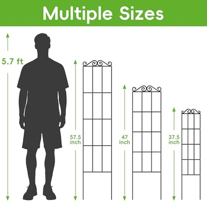 ARIFARO 4Pack 57.5'' Metal Garden Trellis for Climbing Plants Outdoor - size: 57.5 inches