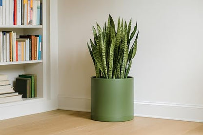 D'vine Dev Plastic Planter Pot with Saucer, 14 in, Olive, 74-X-I-4 - color: Olive, size: 14 Inch
