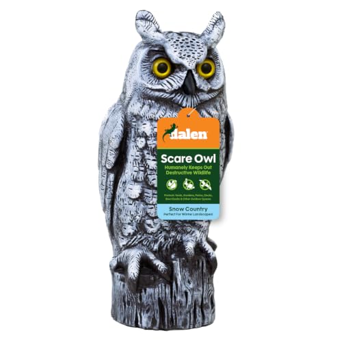 Dalen Fake Owl Decoy to Scare Birds Away from Gardens, Rooftops, and Patios - Scarecrow Provides Chemical-Free Pest Control - Safe and Humane, 16" Great Horned Owl - Snow White - style: Snow Owl
