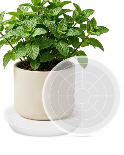 18 inch 5 Pack Plant Saucer Pot Tray, Large Thickened PP Plastic Flower Planter Water Drip Trays for Indoor Outdoor Garden, Semi-Transparent Planter Water Catcher for Pot, Plant Dish - size: 18 Inch