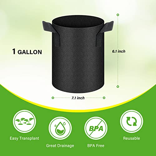 HealSmart 12-Pack 1 Gallon Nonwoven Grow Bags, Aeration Fabric Pots with Handles, Suitable for Garden Fruits, Vegetables and Flowers, Black - color: Black, 12 Pack, size: 1 Gallon