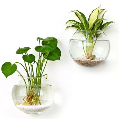 DomeStar Set of 2 Wall Vases, Wall Mounted Propagation Station - size: 2pcs