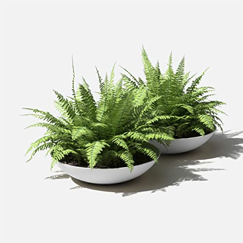 Veradek Mason Series Lane Bowl - Large Outdoor Bowl Planter - color: White, size: 8"H x 32"DIA 2PK