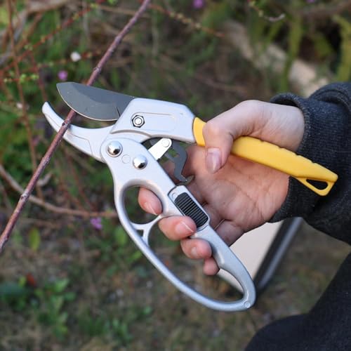 Heavy Duty Pruners Scissors Ratchet Hand Pruner with Ratcheting Garden Hand Tool Clippers Gardening Pruners Tools, 20.5 * 8cm (White Gold) - color: White Gold
