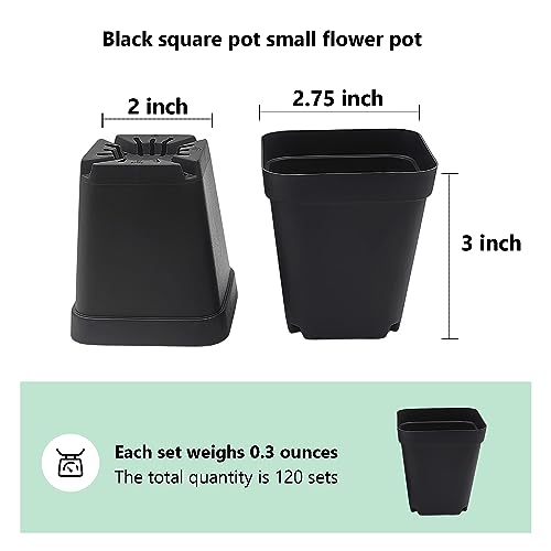 RooTrimmer Square Nursery Pots with Drainage Holes, 2.75 Inch, 120 Pack - color: Black, size: 2.7 Inch - 120pk
